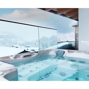 Falkenstein Hinterglemm Apartment Saalbach-Hinterglemm